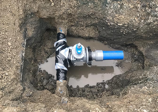 クライアント名